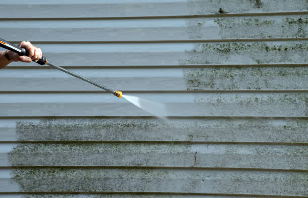Animal Enclosure Cleaning in Dallas, NC